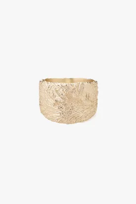 Arctic Ring