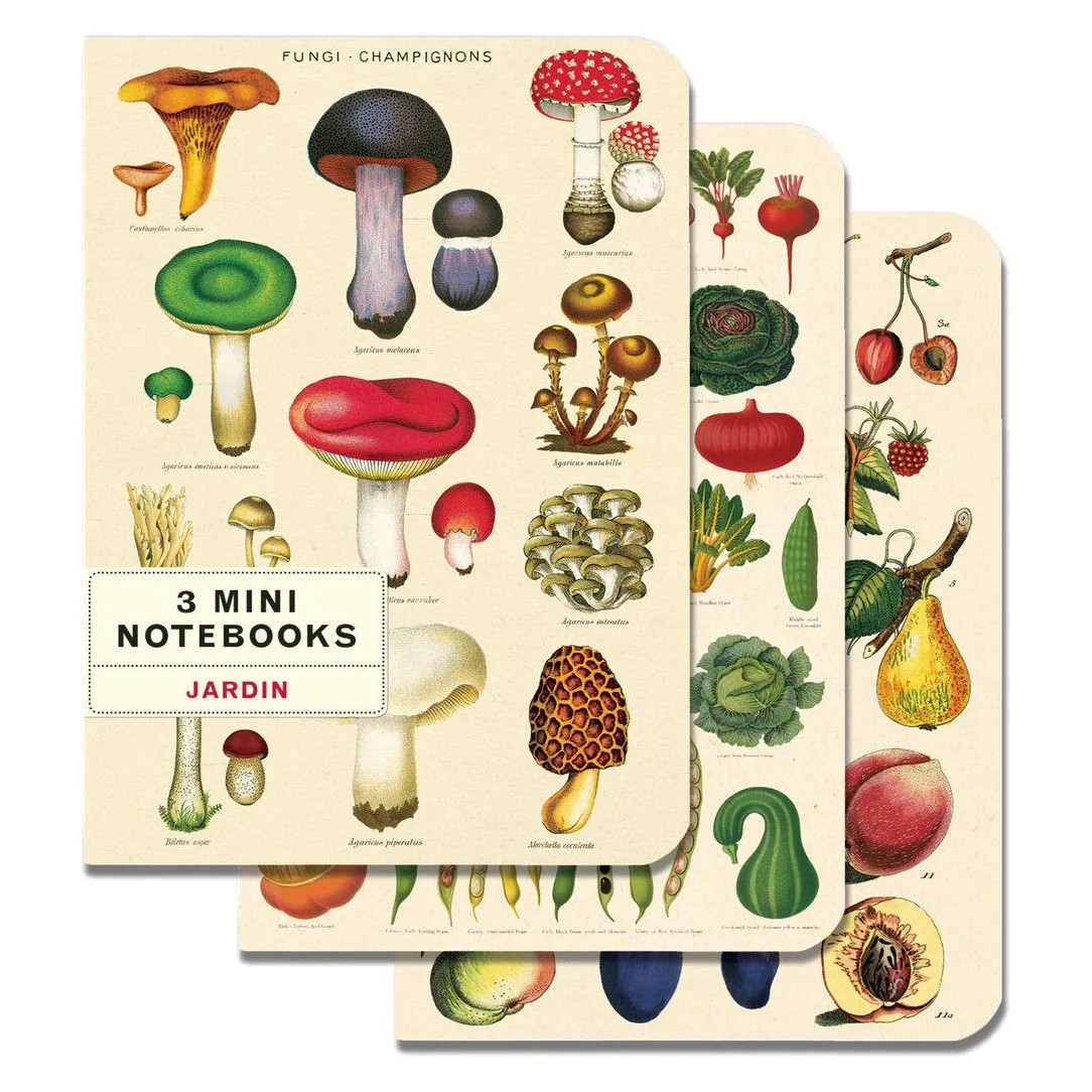 Cavallini & Co. Mini Notebook Sets