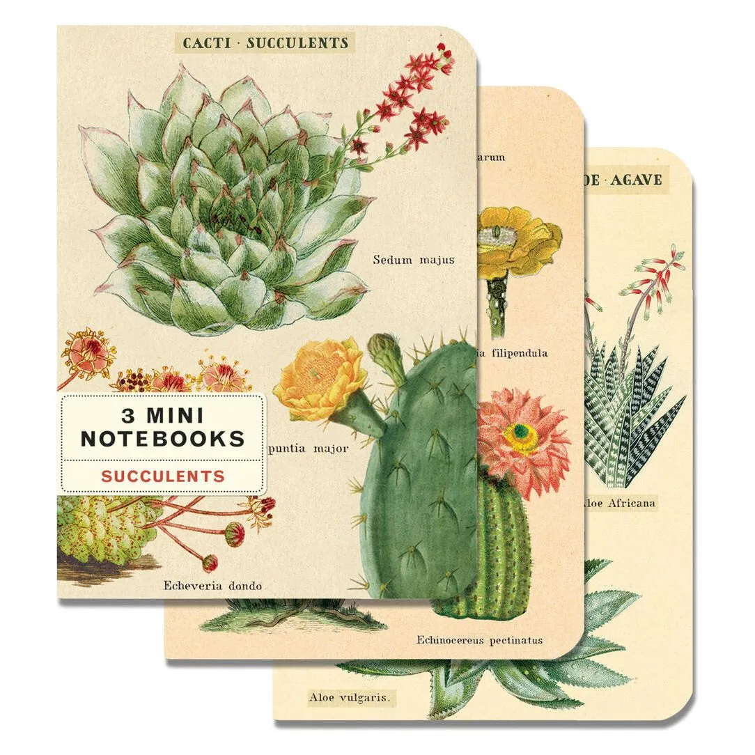Cavallini & Co. Mini Notebook Sets