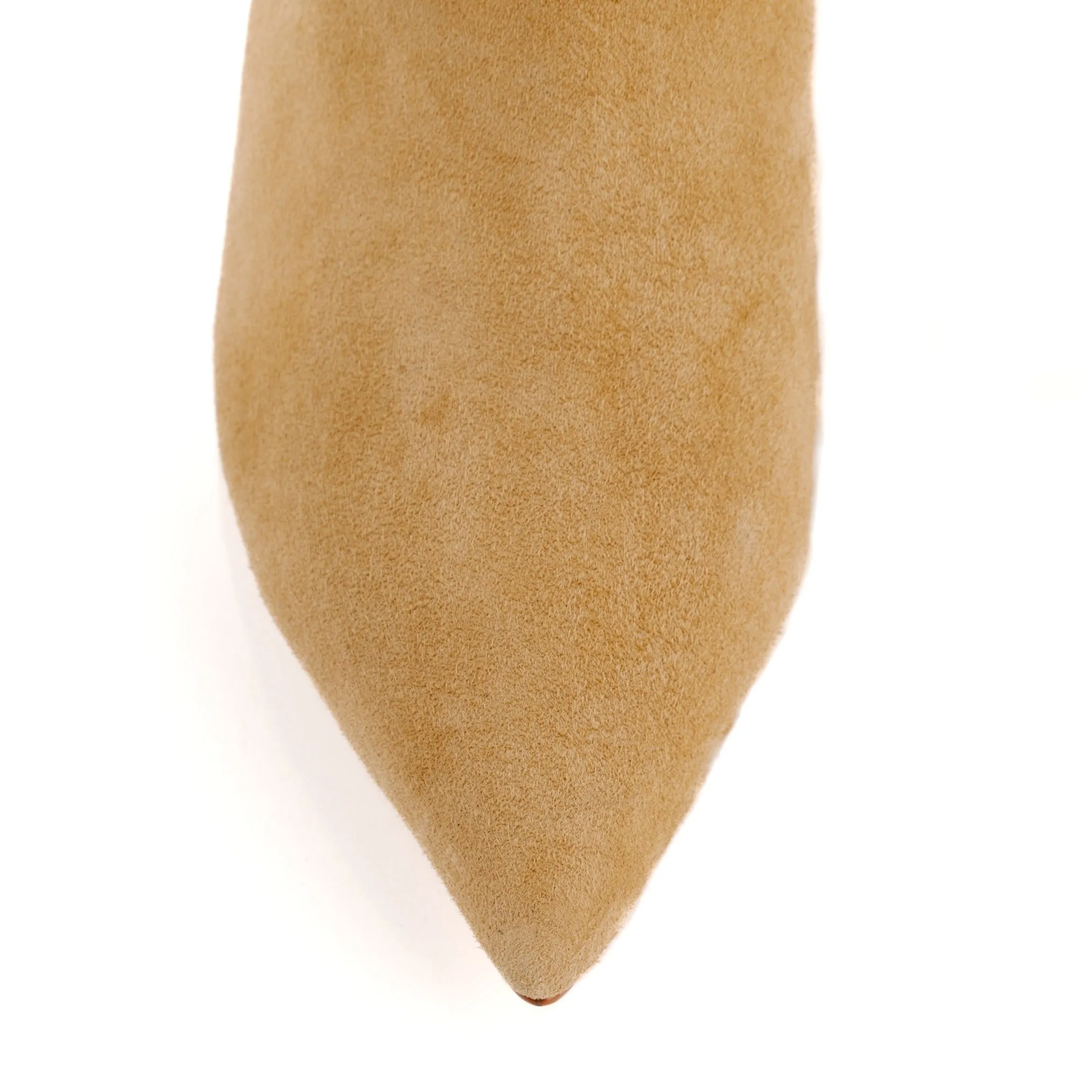 CELINA