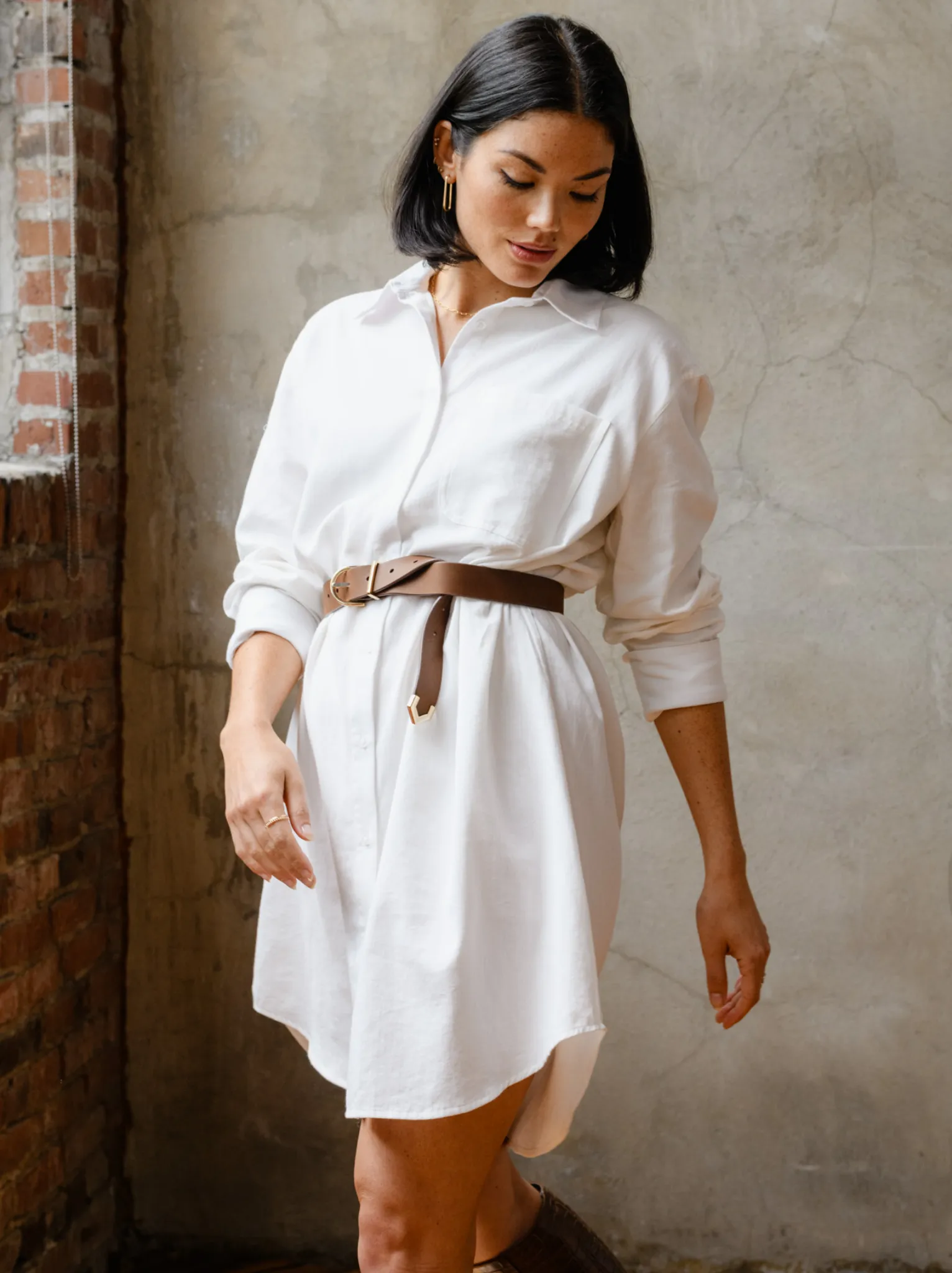 Harris Button Down Shirt Dress