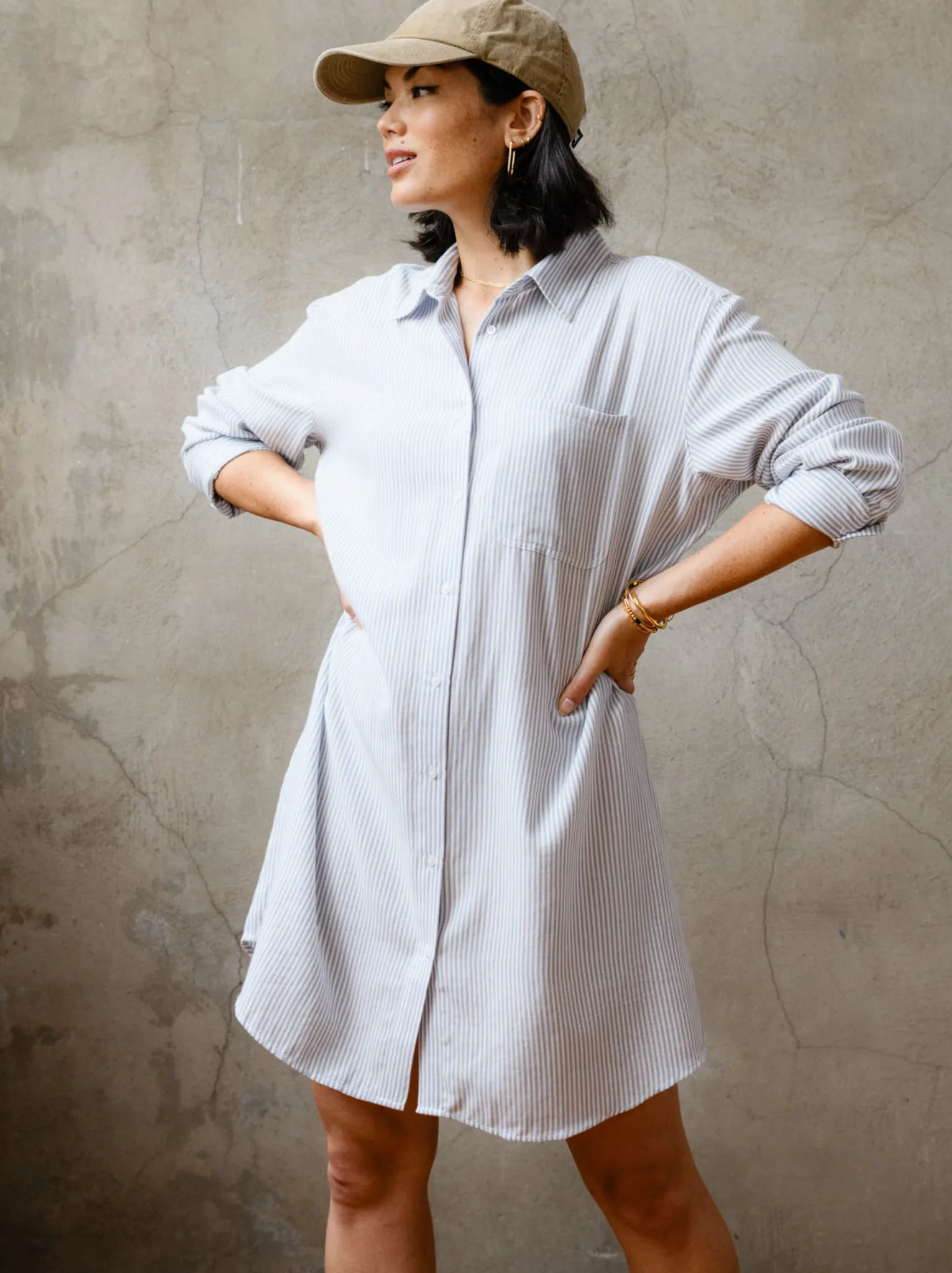 Harris Button Down Shirt Dress