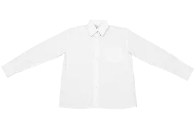 Longsleeve Raised Collar Blouse - White