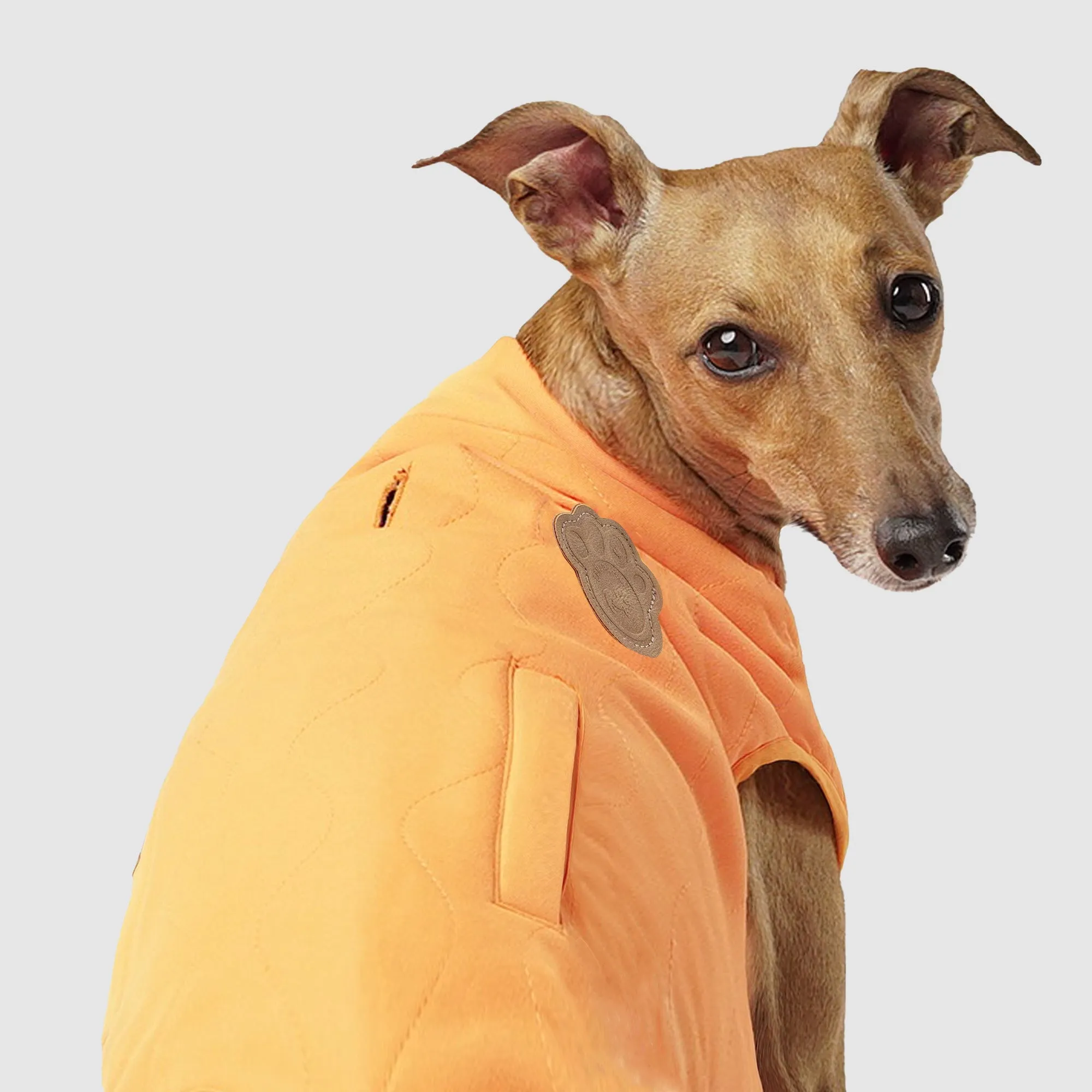 Reversible Vest
