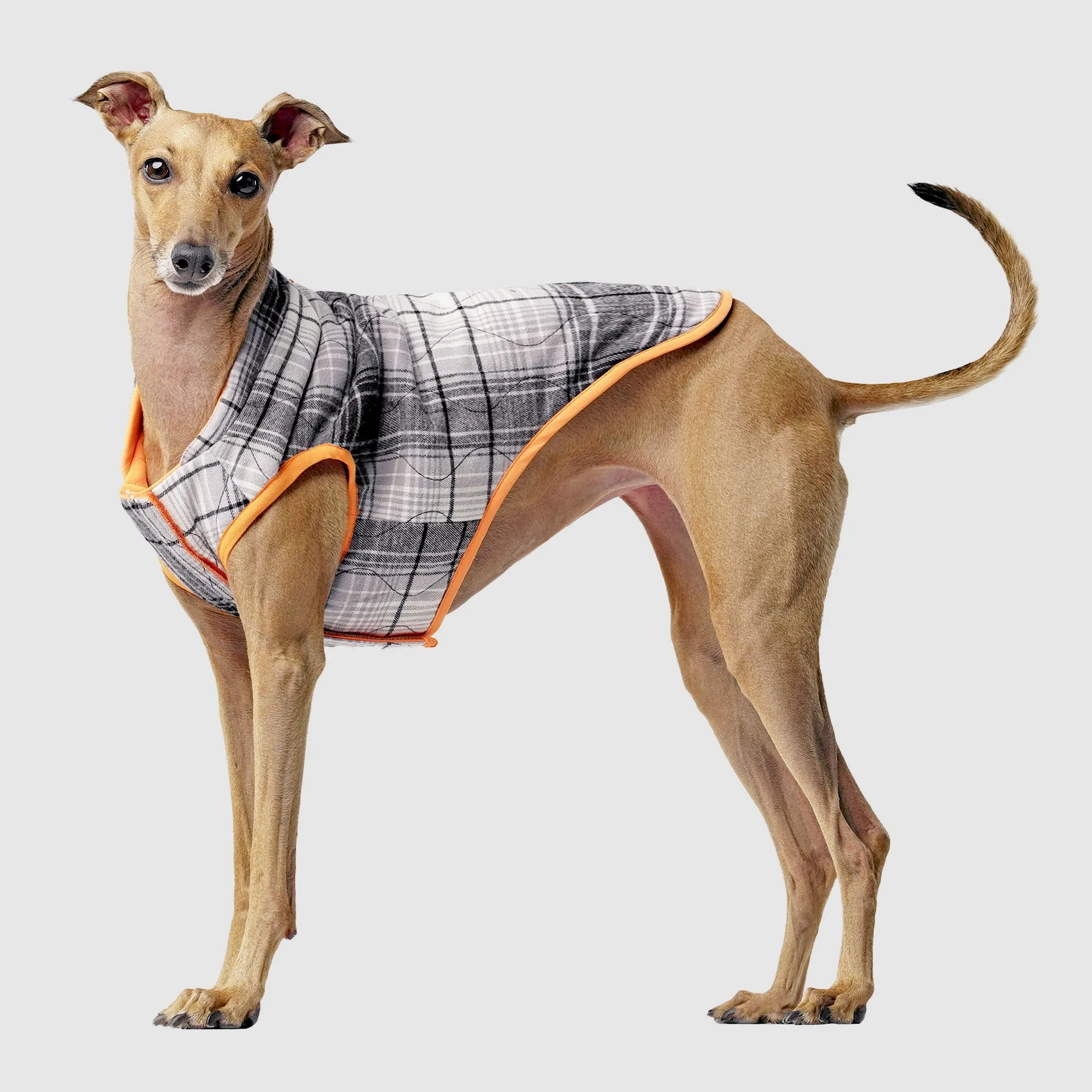 Reversible Vest