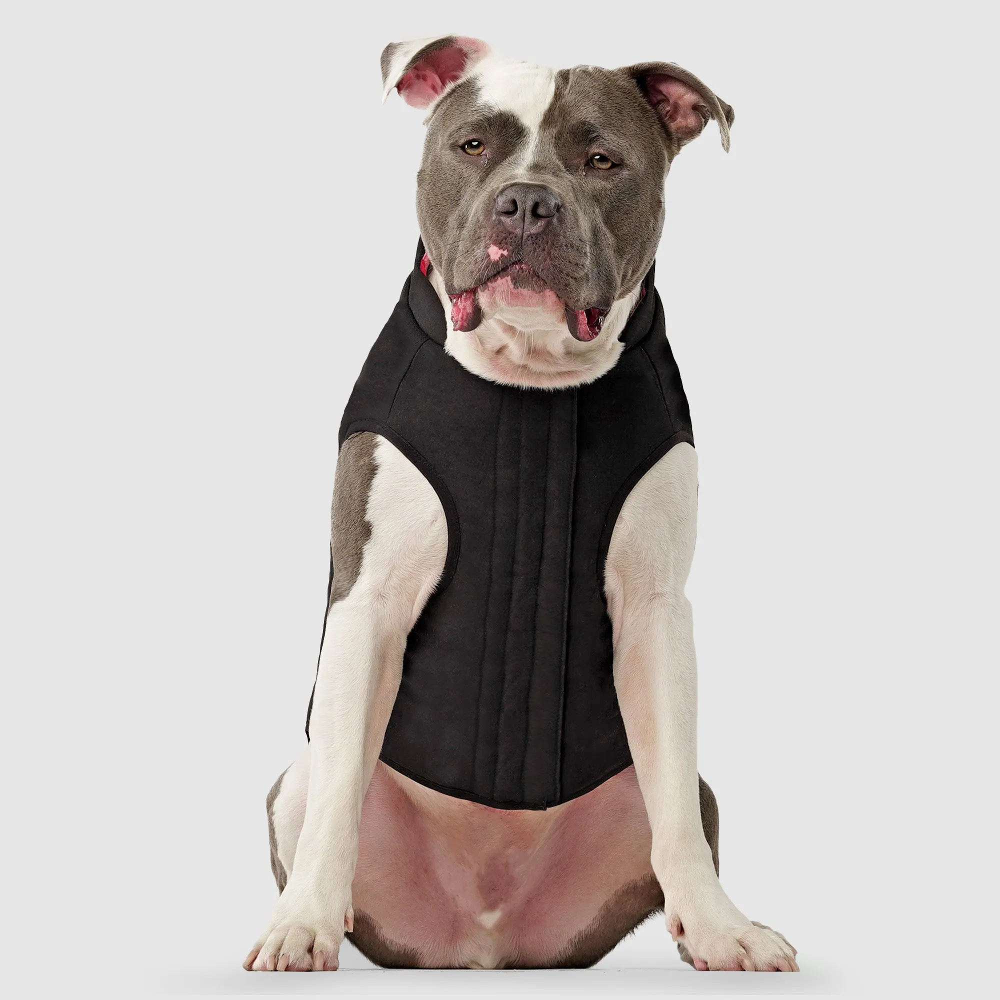 Reversible Vest
